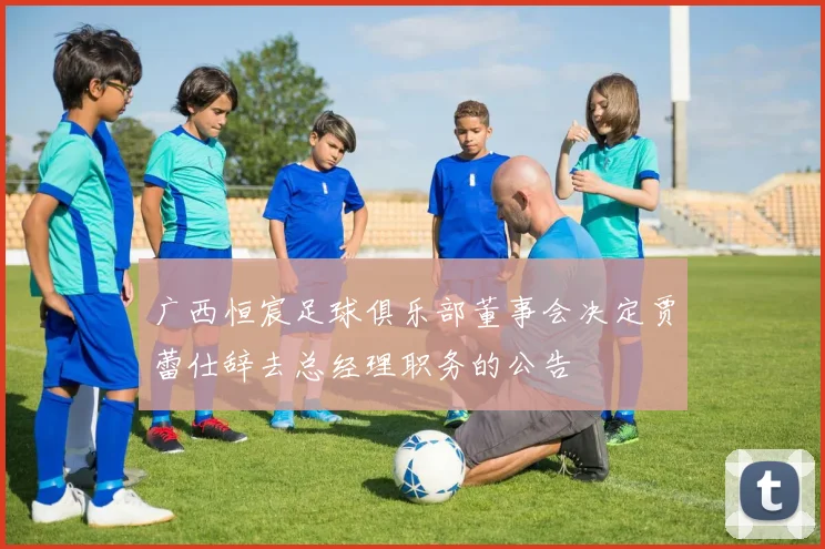 广西恒宸足球俱乐部董事会决定贾蕾仕辞去总经理职务的公告