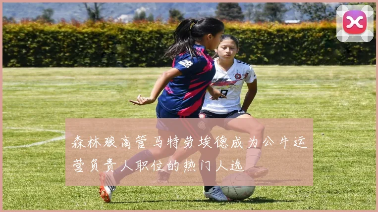 森林狼高管马特劳埃德成为公牛运营负责人职位的热门人选